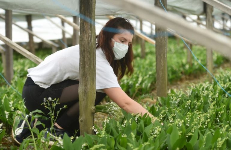 Mujeres españolas buscan ser referentes en el sector agroalimentario