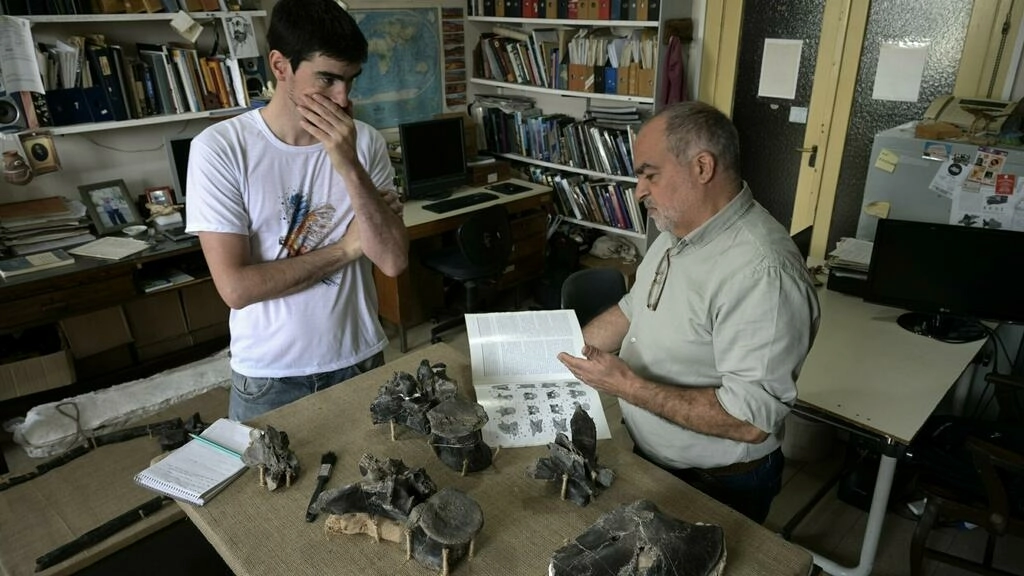 Megaraptor carnívoro de mayor tamaño hallado en el sur de Argentina