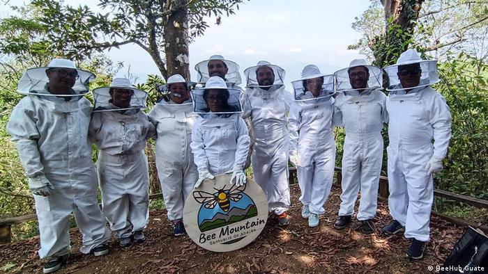 Más de 2,5 millones de abejas salvadas gracias a una iniciativa en Guatemala