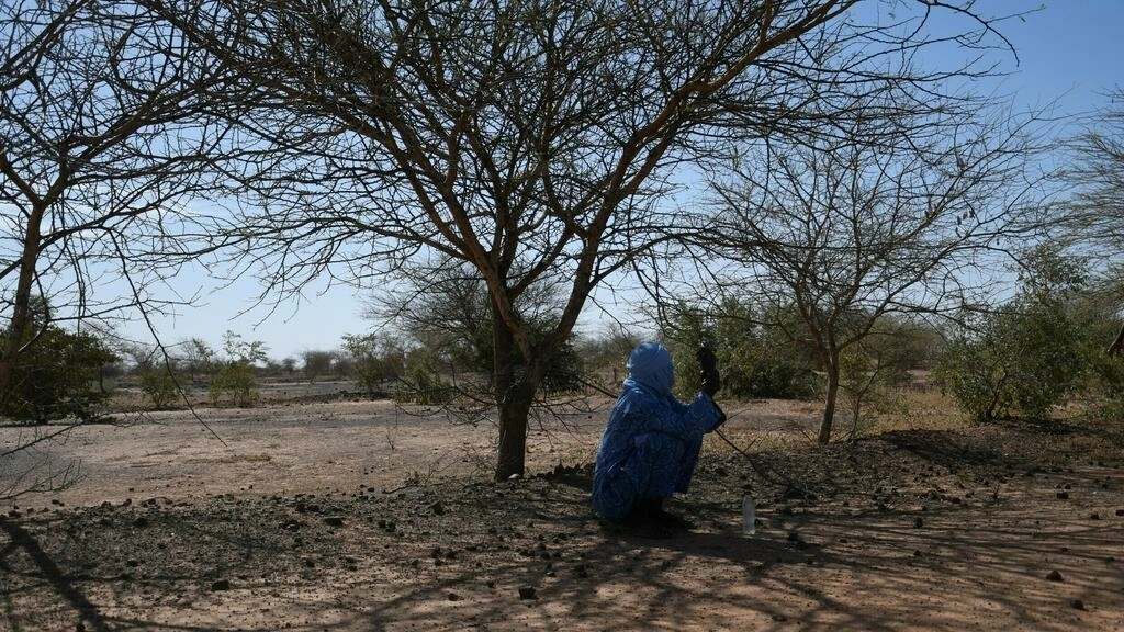 Comienza la COP15 contra la desertificación en Costa de Marfil