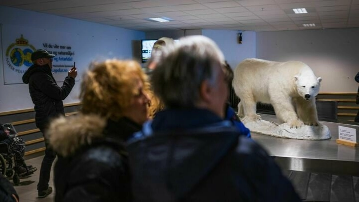 La difícil búsqueda del turismo sustentable en el Ártico