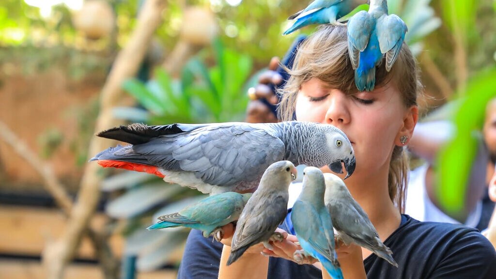 Santuario vegetal acoge aves exóticas en la capital de Sudán