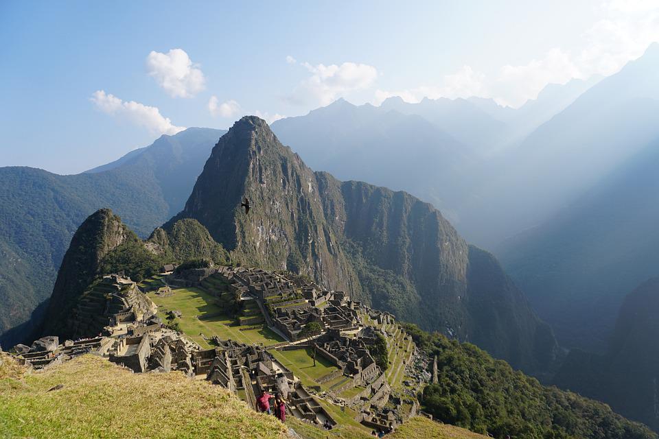 Descubren nuevas especies de lagartijas en Machu Picchu y selva de Perú