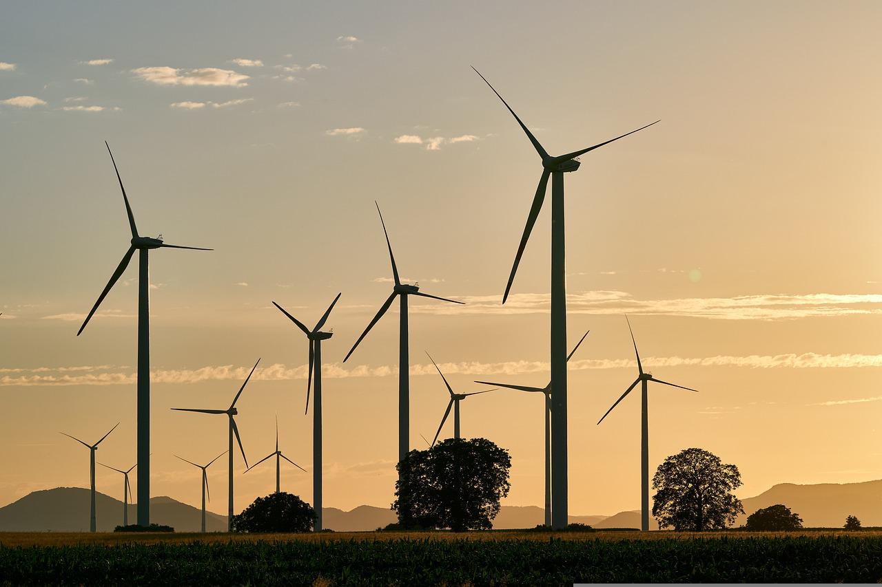 Cuatro países de la UE planean incrementar energía eólica en Mar del Norte