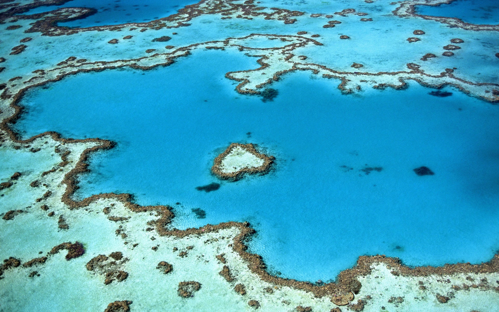 WWF crea una zona de protección en la Gran Barrera de Coral de Australia