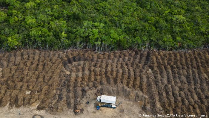 Deforestación en Amazonía brasileña registra segundo peor mes de mayo desde 2016