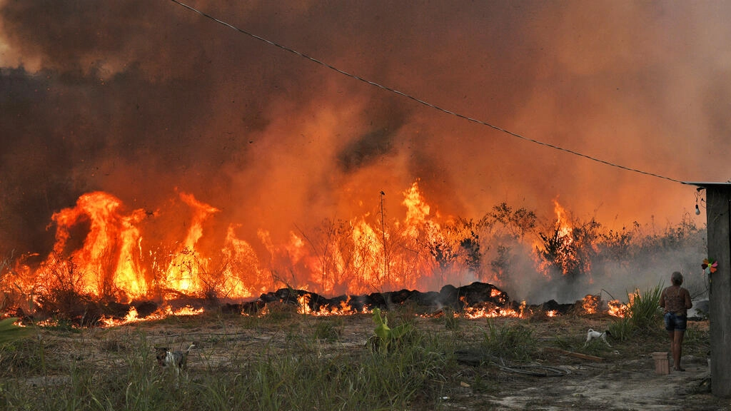 Incendios crecen en mayo en la Amazonía brasileña y baten récord