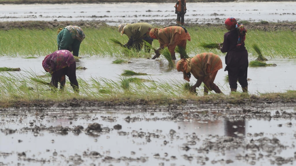 La OCDE llama a coordinar ayuda a la agricultura y transición ecológica