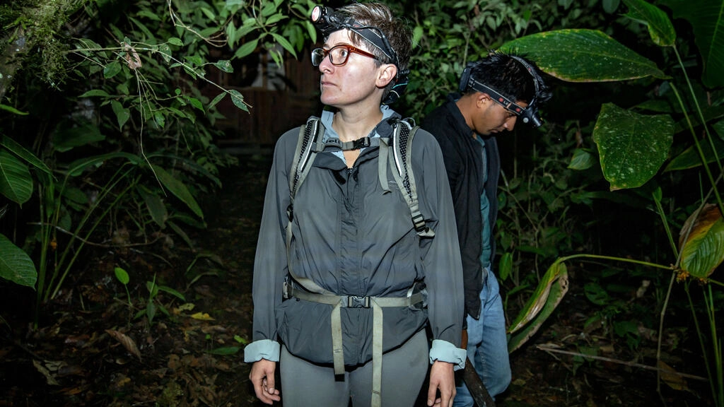 Dos ranas en el centro de una batalla contra la minería en Ecuador