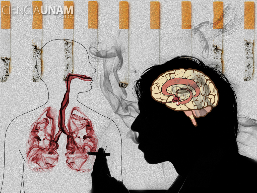 Tabaquismo y depresión ¿causa o efecto?