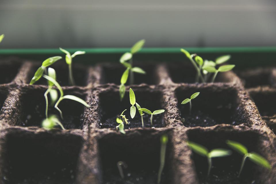 Estudiantes argentinos serán formados en uso de tecnologías para agricultura