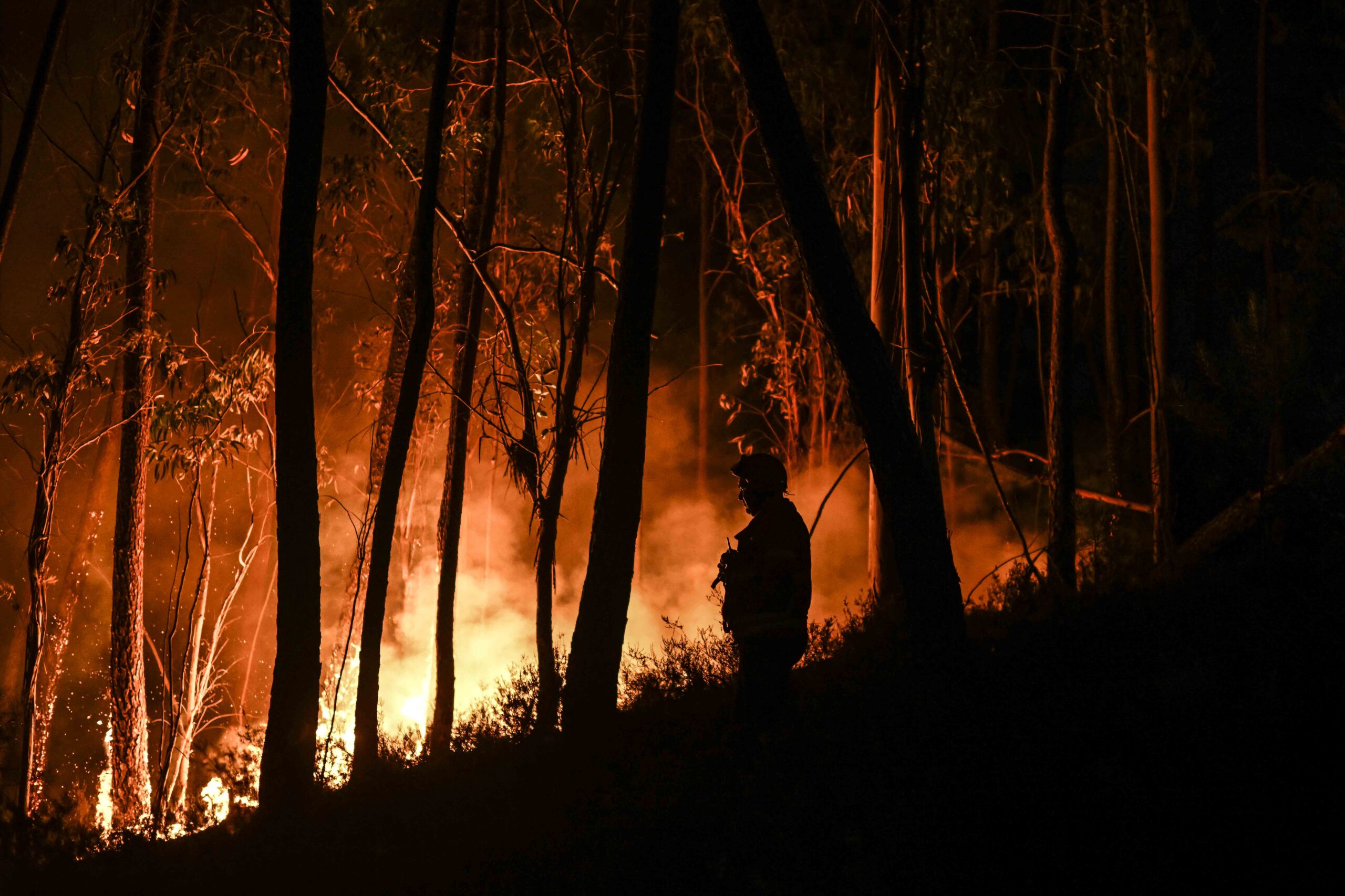 Portugal lucha contra tres incendios forestales