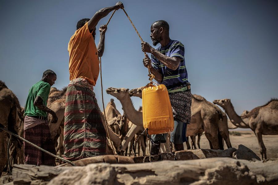 La sequía agrava la desnutrición infantil y llena los hospitales de Somalia