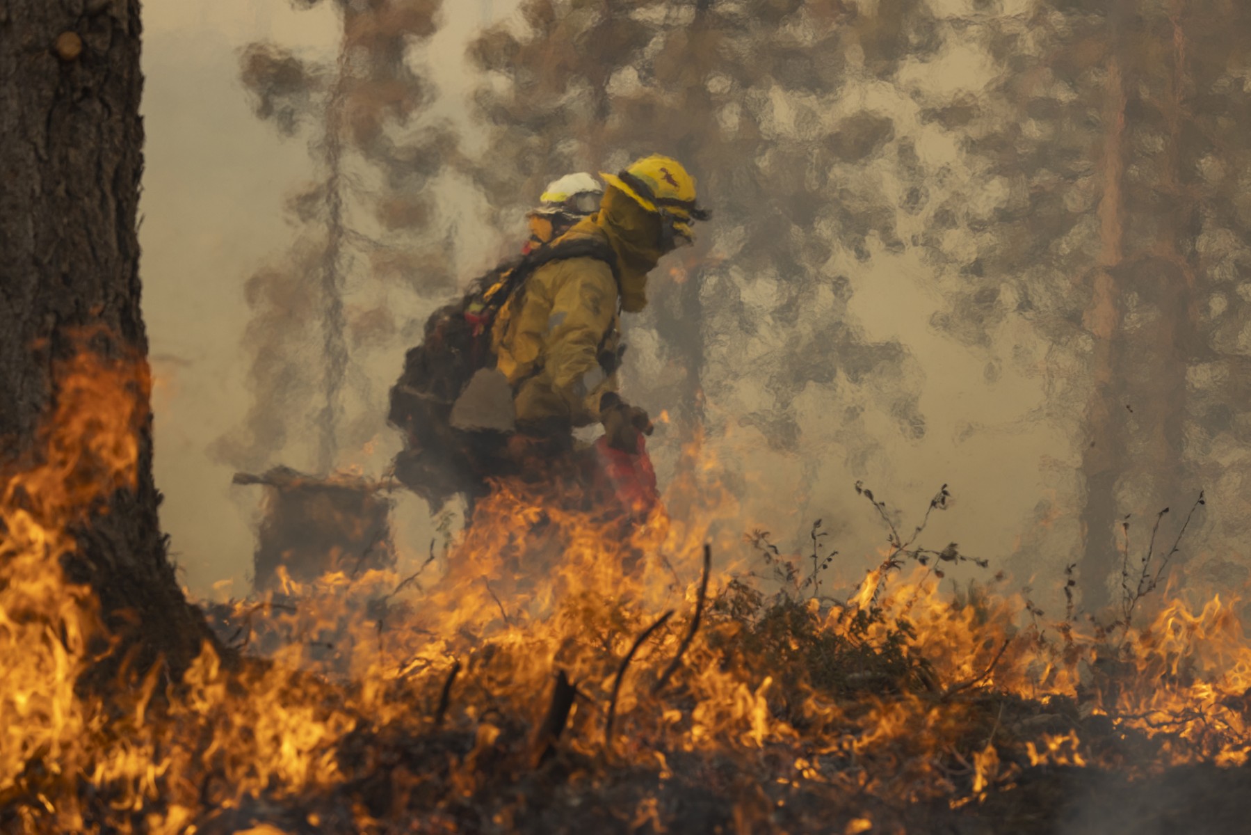 Gigantesco incendio forestal se propaga ferozmente en California