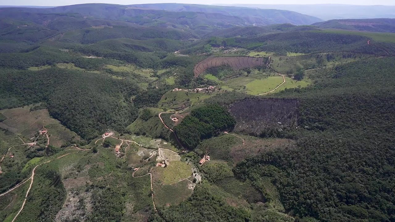 La deforestación se dispara en el Bosque Atlántico de Brasil