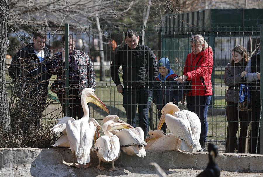 Un zoológico de Ucrania refugia a animales tras bombardeo ruso