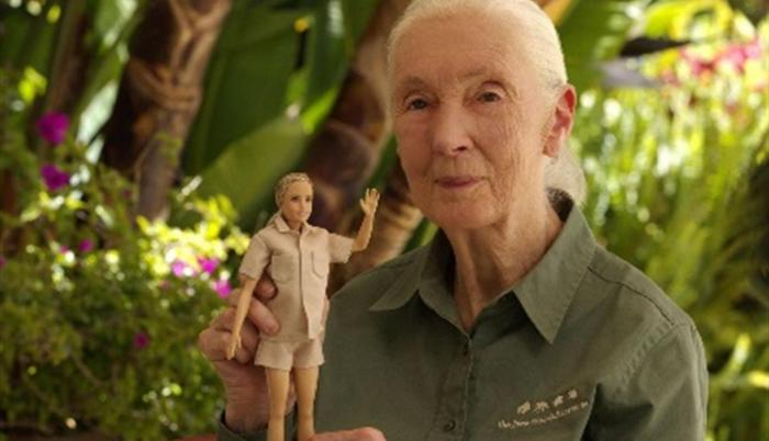 Lanzan a la venta una muñeca ‘Jane Goodall’ hecha de plástico rescatado del océano