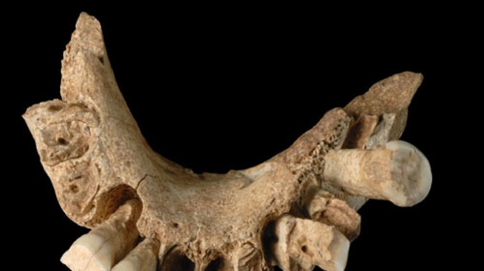 Descubren en España el fósil humano posiblemente más antiguo de Europa