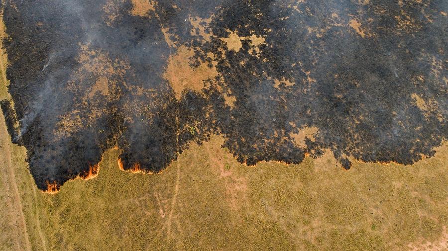 Incendios en Amazonía brasileña suben en primer semestre y prenden alarmas