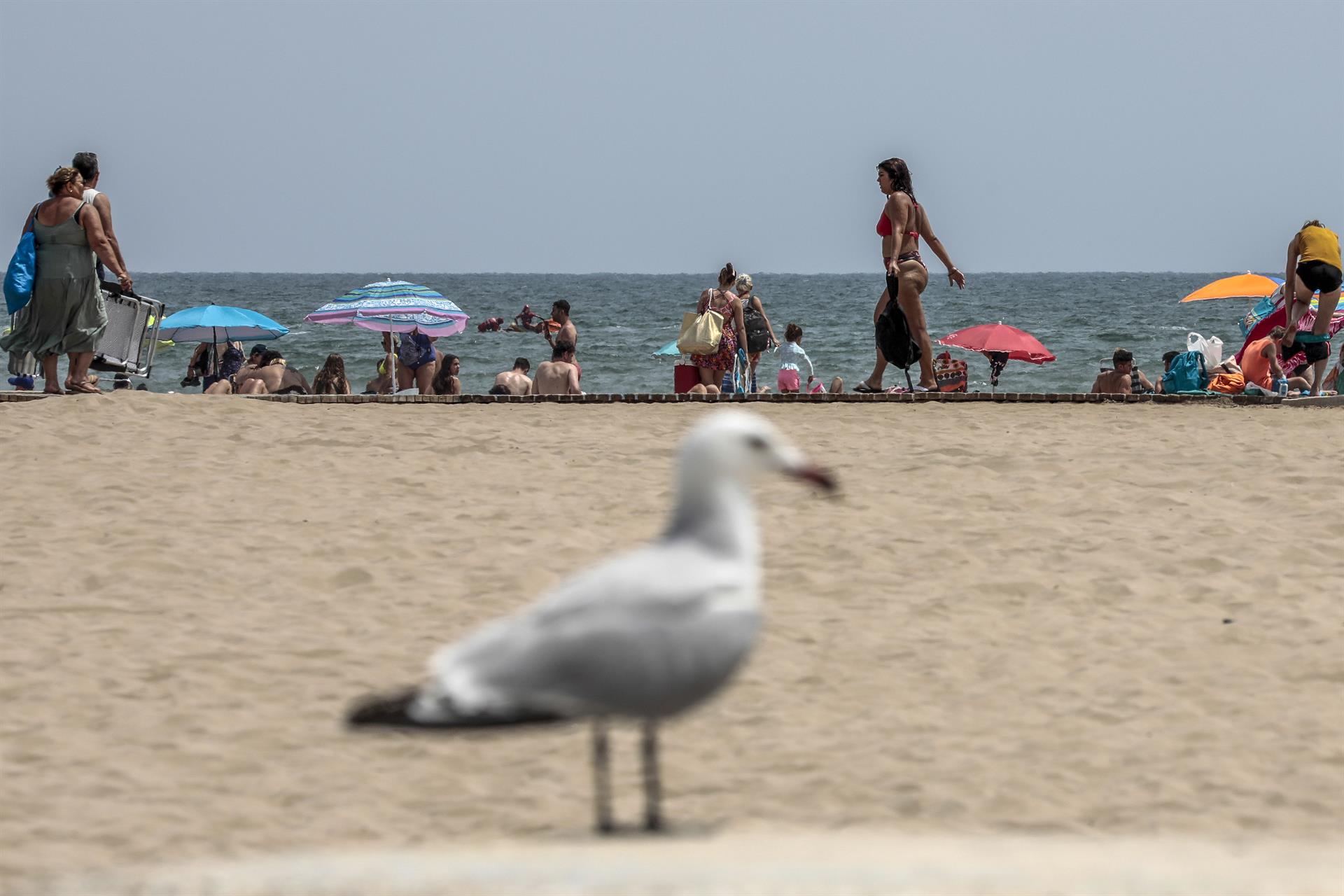 España registra ya 360 muertos por una ola de calor de hasta 44 grados