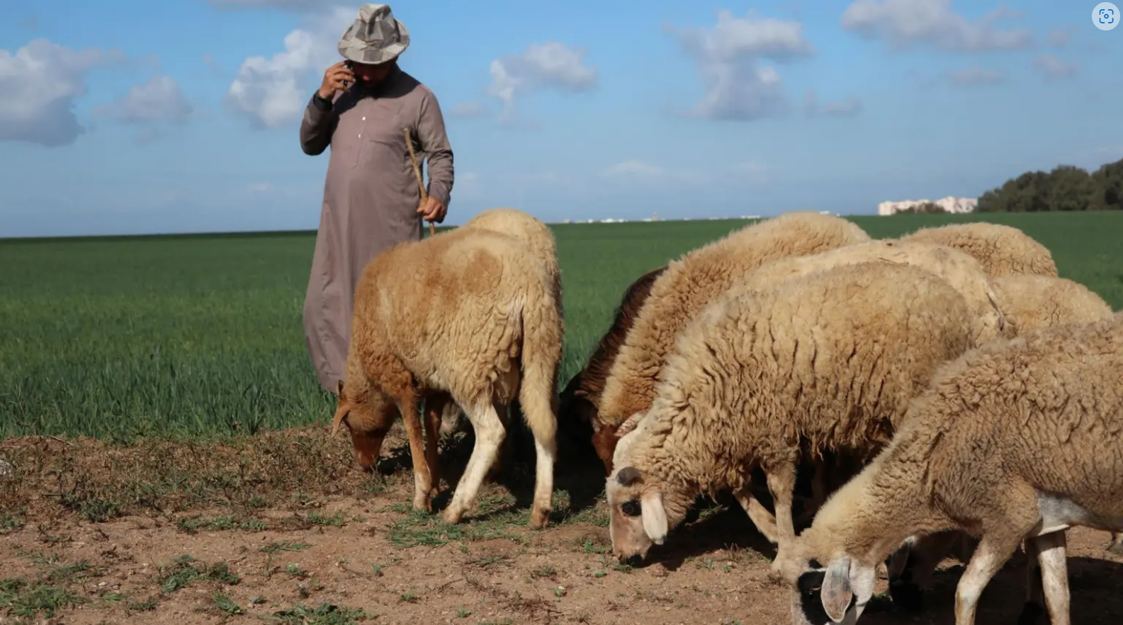 Marruecos aprueba medidas urgentes para mitigar la escasez de agua