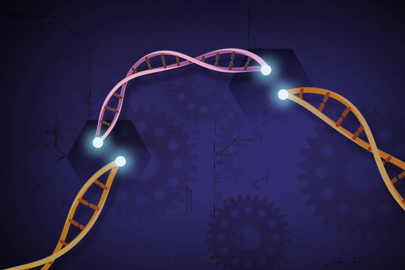 Patentan un método que detecta el virus de la COVID-19 y otros patógenos con CRISPR