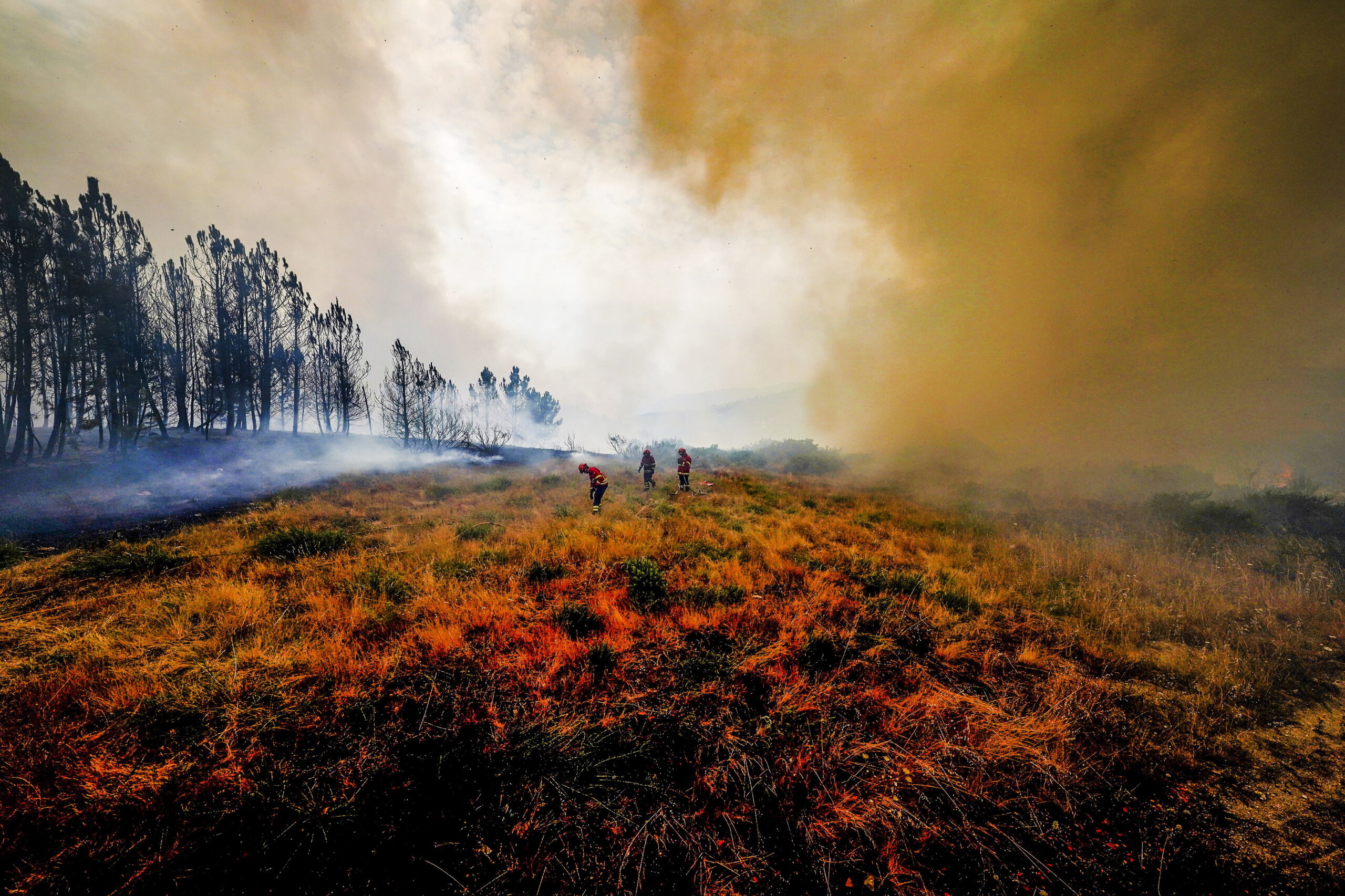 OMM alerta que olas de calor seguirán siendo frecuentes al menos 40 años más