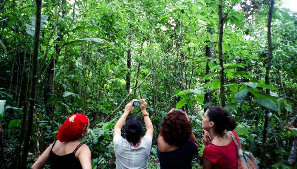 Formación en ecología global no integra a los trópicos