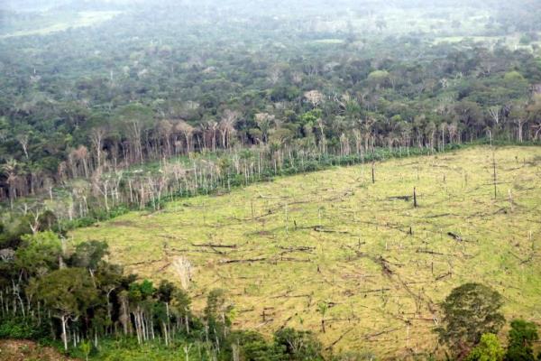 La deforestación aumentó un 10 % en el primer trimestre de 2022 en Colombia