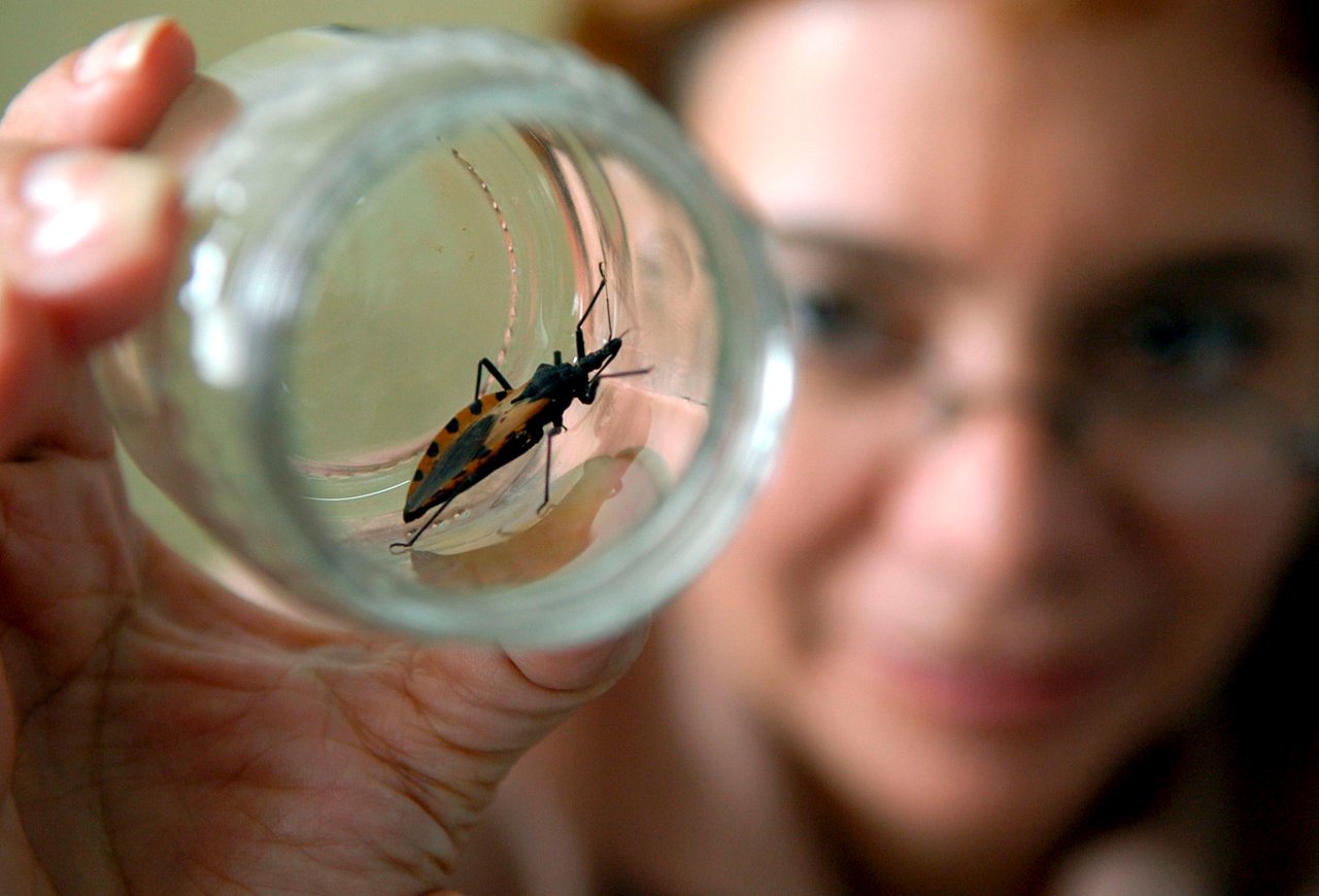 La enfermedad de Chagas, una zoonosis desatendida y mortal