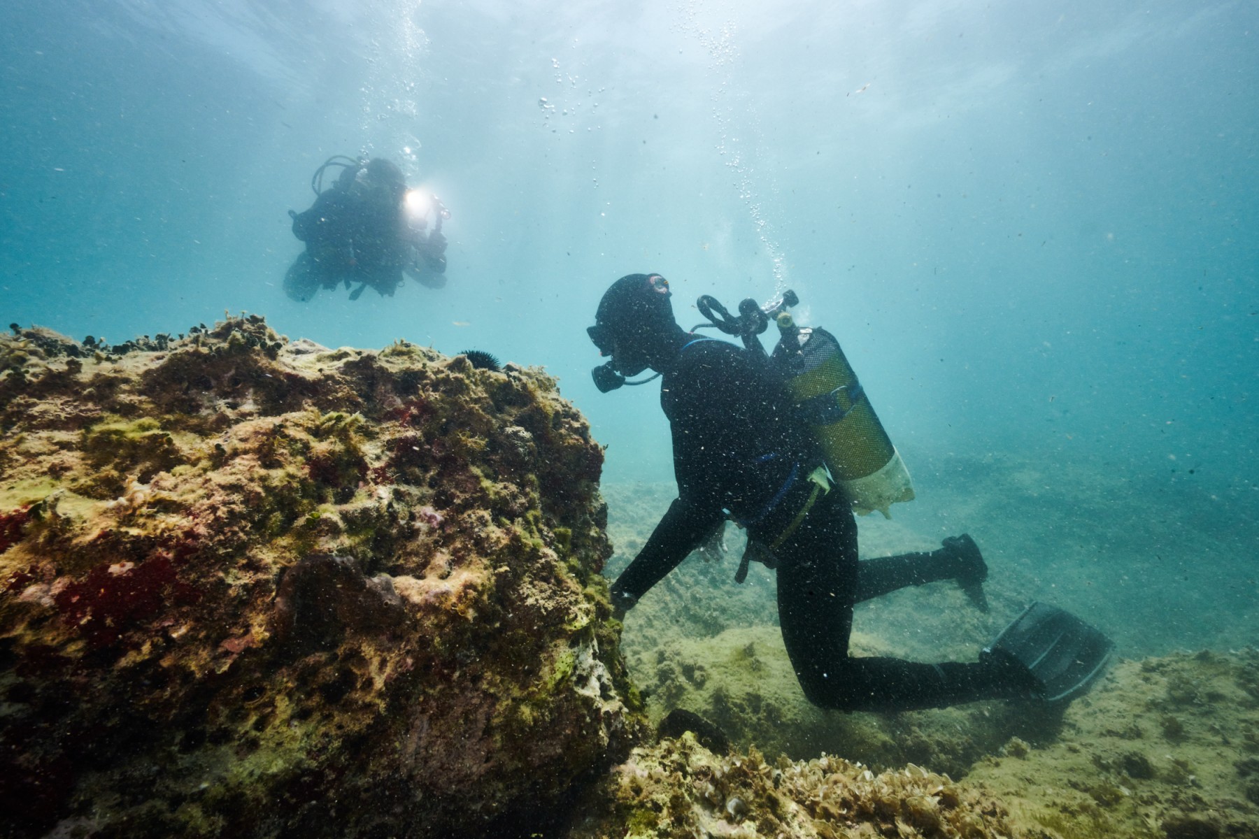 La pesca furtiva de dátiles de mar amenaza la costa italiana