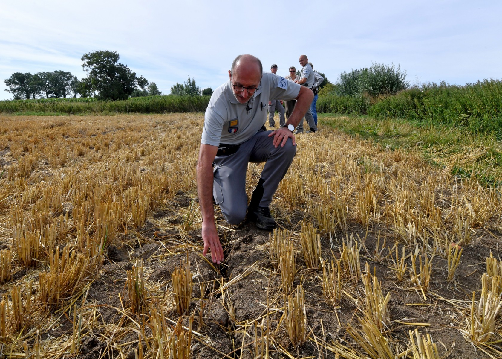 La sequía se instala en Francia en plena ola de calor