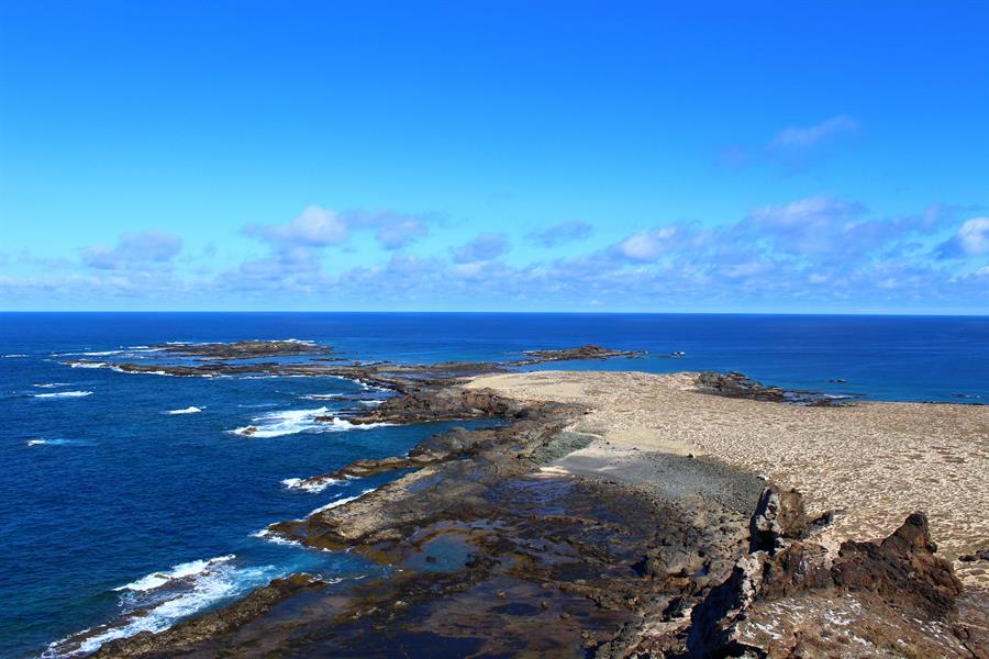 Las Islas Salvajes de Madeira, referente entre las áreas marinas protegidas