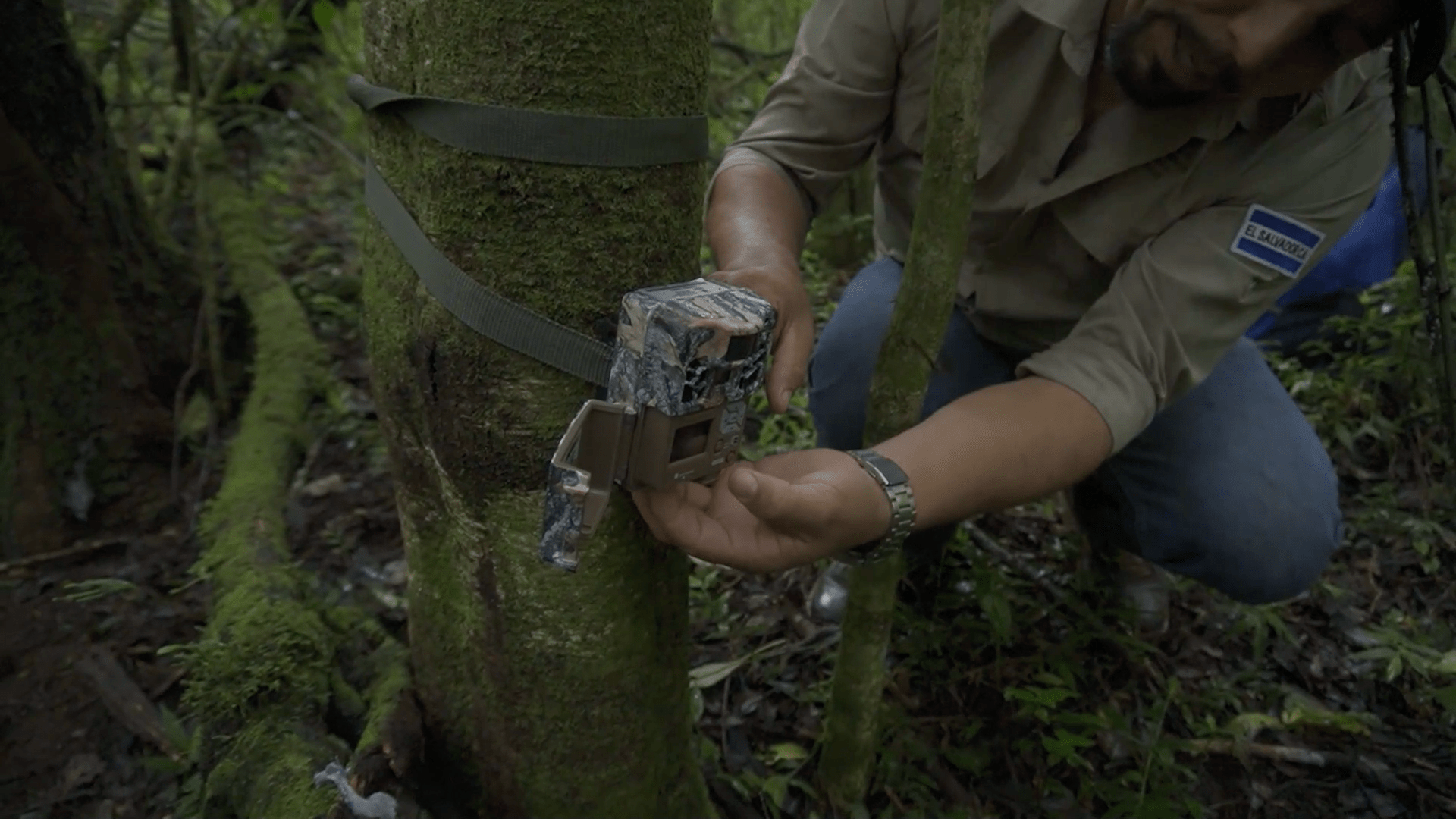 El Salvador implementa tecnología para análisis y conservación de su fauna