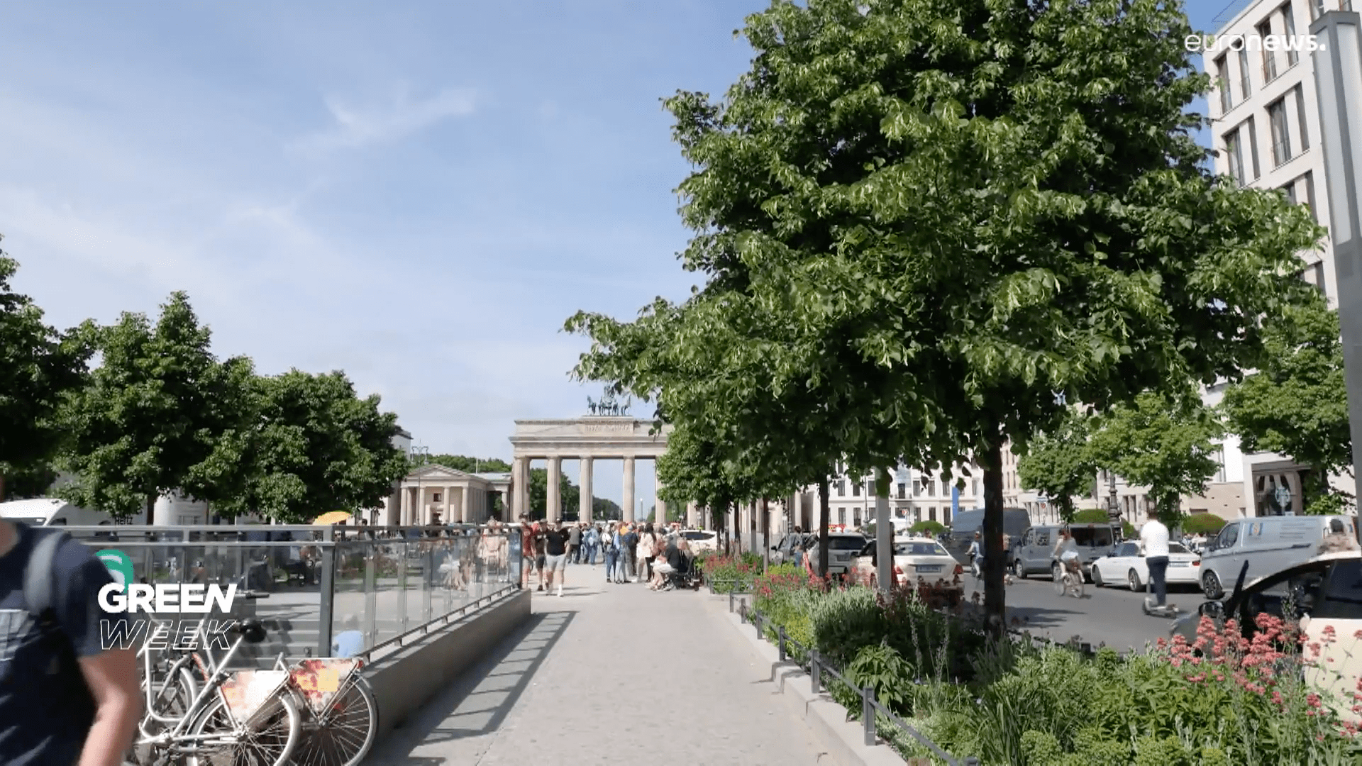 En Alemania los árboles se secan por la falta de lluvias