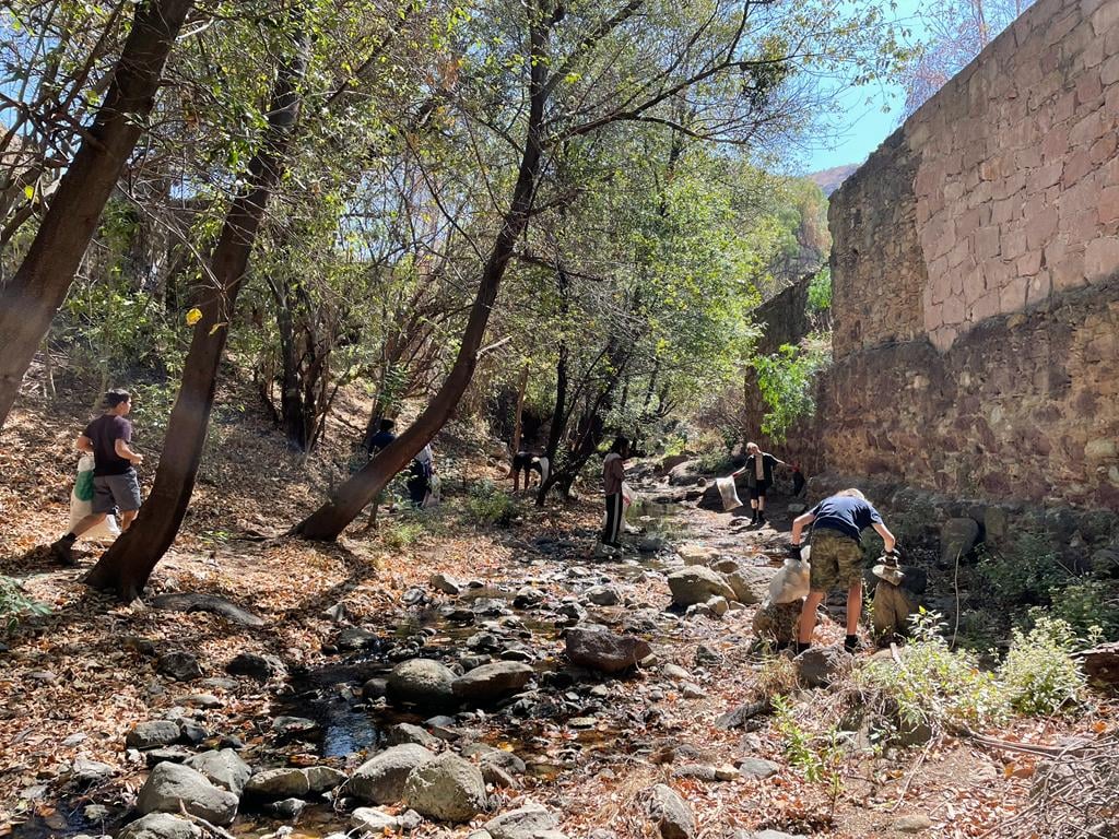 Proyecto Pastita: ciudadanos luchan por rescatar la biodiversidad de un río