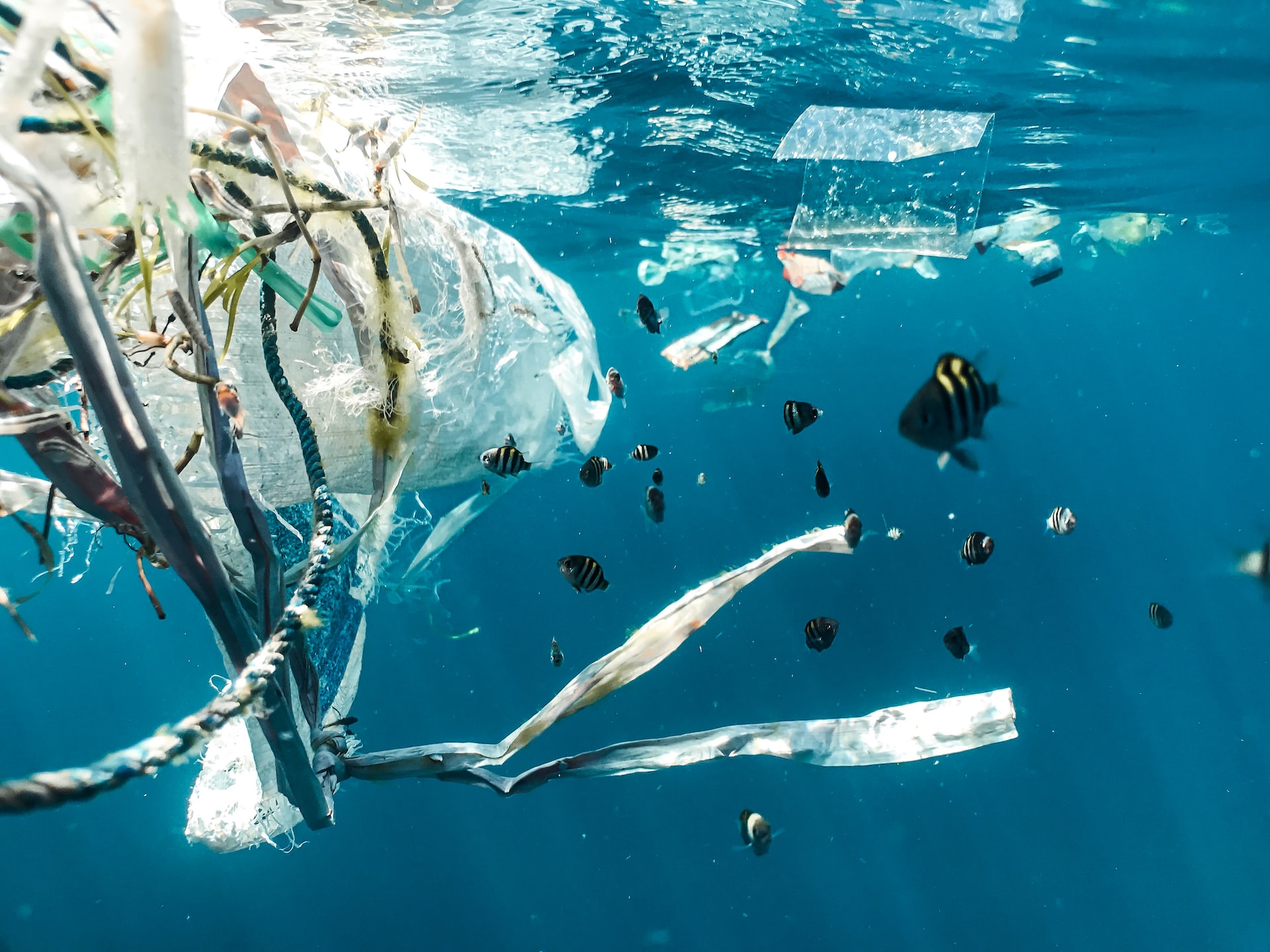 En México, comunidades luchan por desterrar los plásticos de las playas