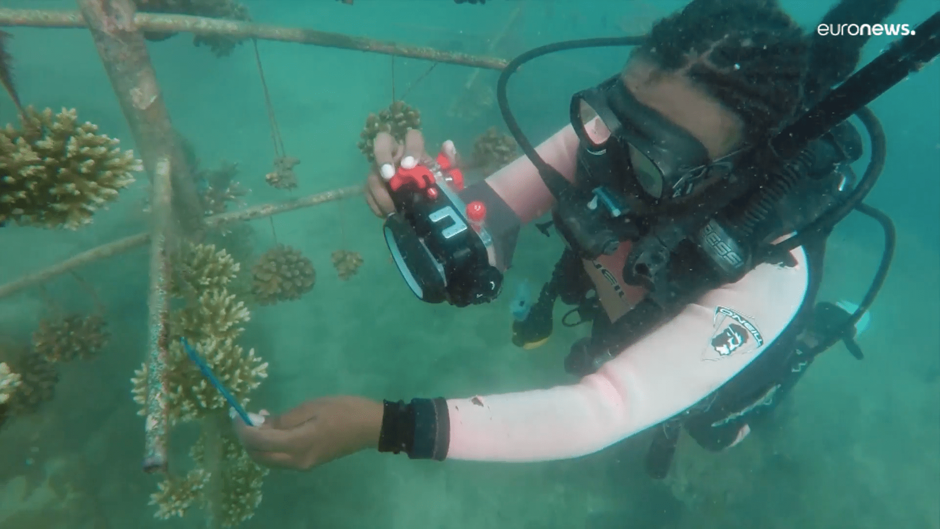 Kenia restaura arrecifes de coral con ayuda de estructuras artificiales