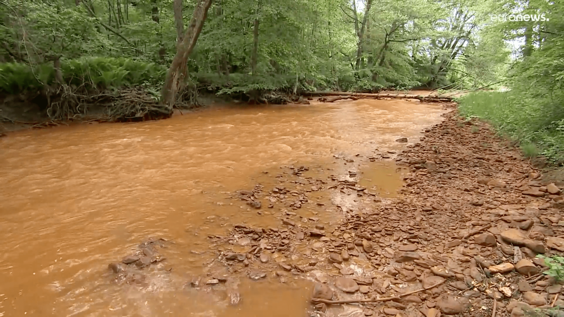 Contaminantes aniquilan la vida del río Sajó a su paso por Eslovaquia