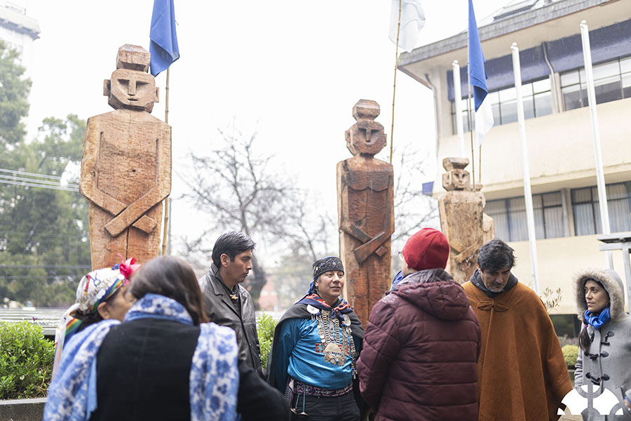 Universidad chilena trabajará en medicina ancestral con pueblo mapuche