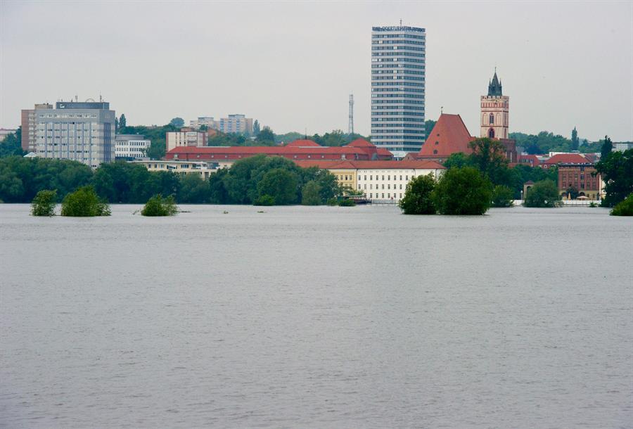 Alemania alerta de la muerte masiva de peces en el río Oder