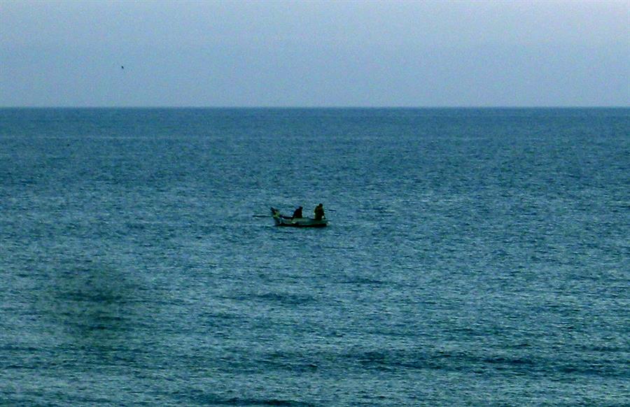 Los tiburones amenazados del Mediterráneo se capturan más en zonas protegidas