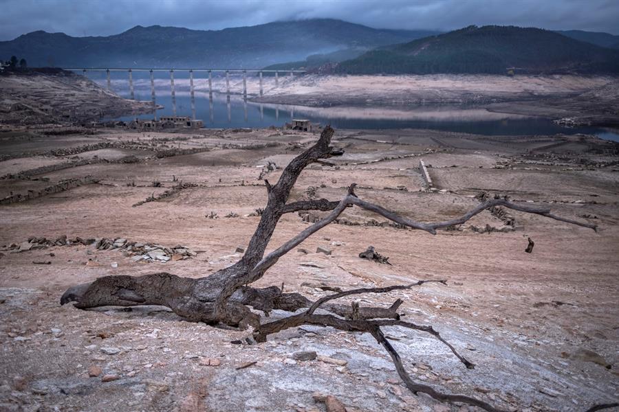 El cambio climático puede agravar más del 50% de las enfermedades infecciosas