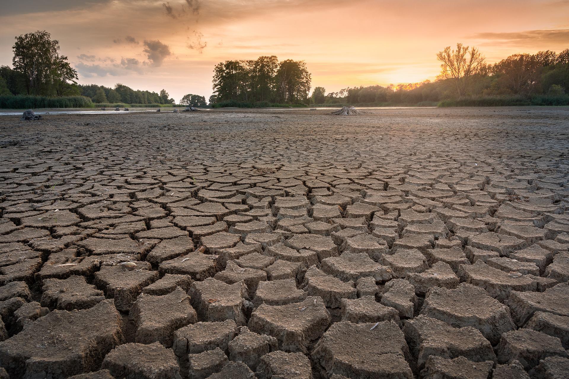 California proyecta aumentar el suministro de agua ante creciente sequía