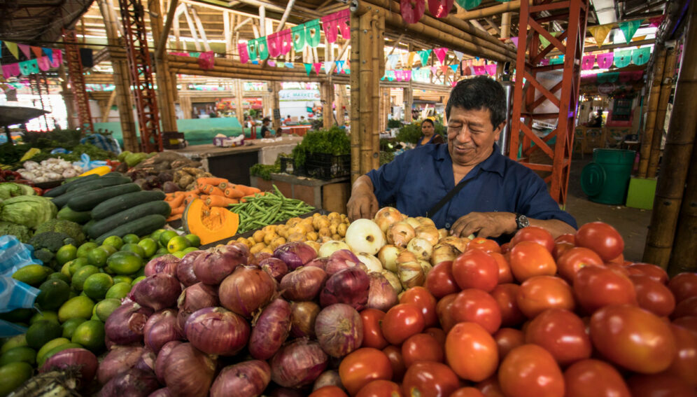 Escasez de agua amenaza seguridad alimentaria mundial