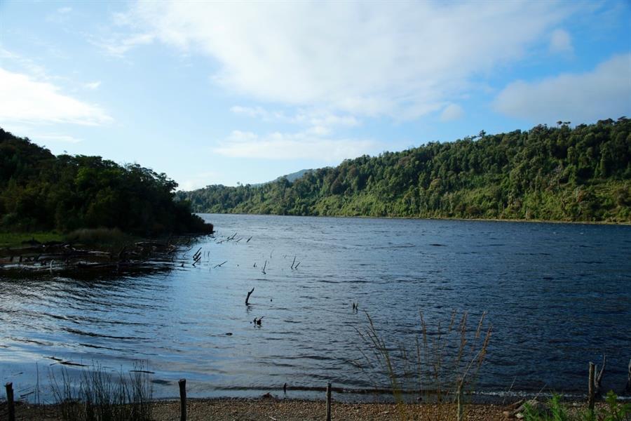 Chile declara 4 santuarios naturales en Chiloé, zona de reposo para ballenas