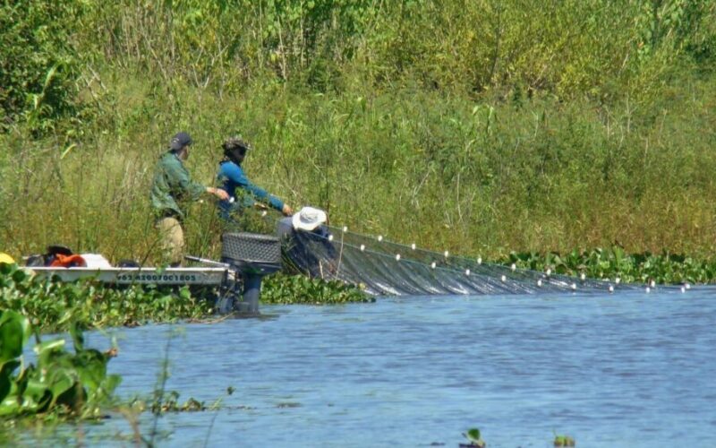 Humedales, muy afectados por “huella humana”