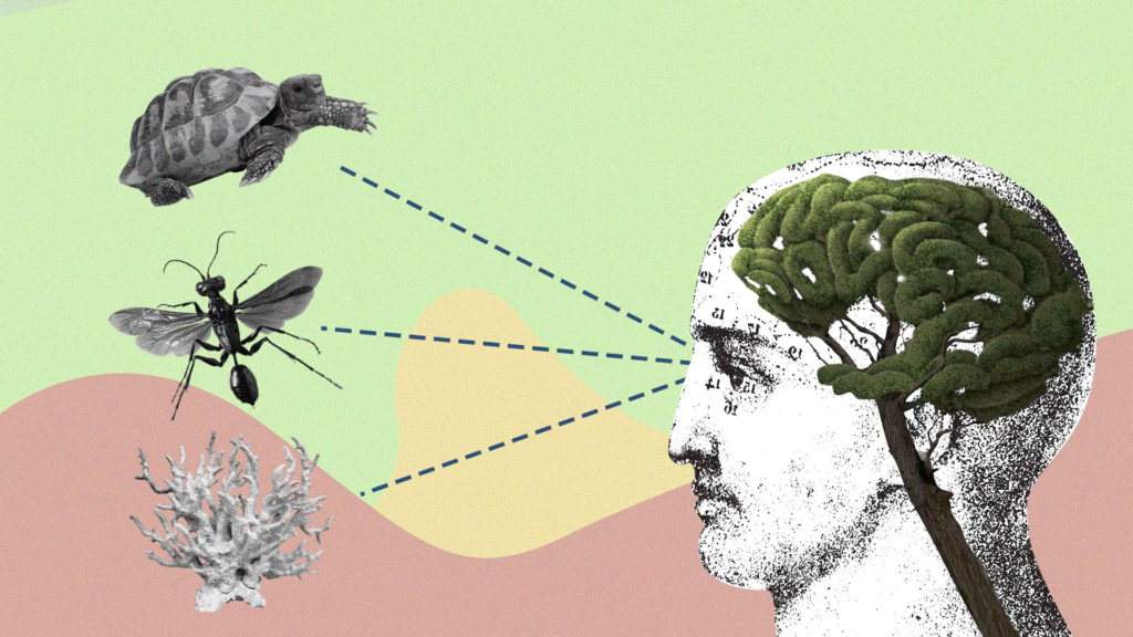 La falta de conexión de las personas con la naturaleza genera problemas