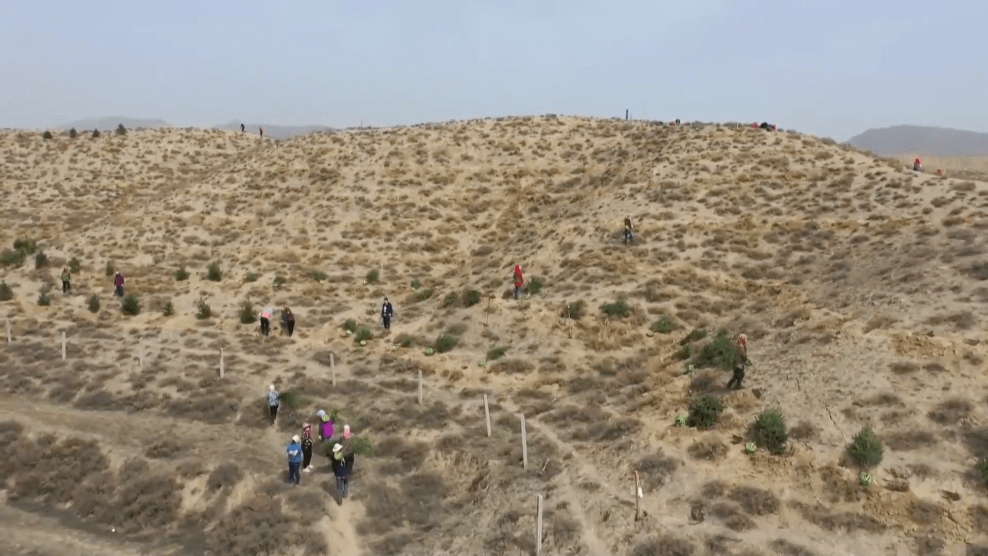 China mejora con reforestación áreas hundidas por minería del carbón