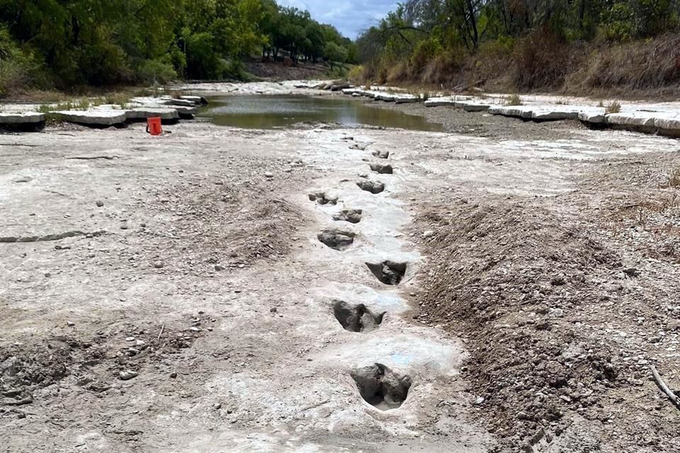 Huatacondo, el valle andino con mayor registro de pisadas de dinosaurios